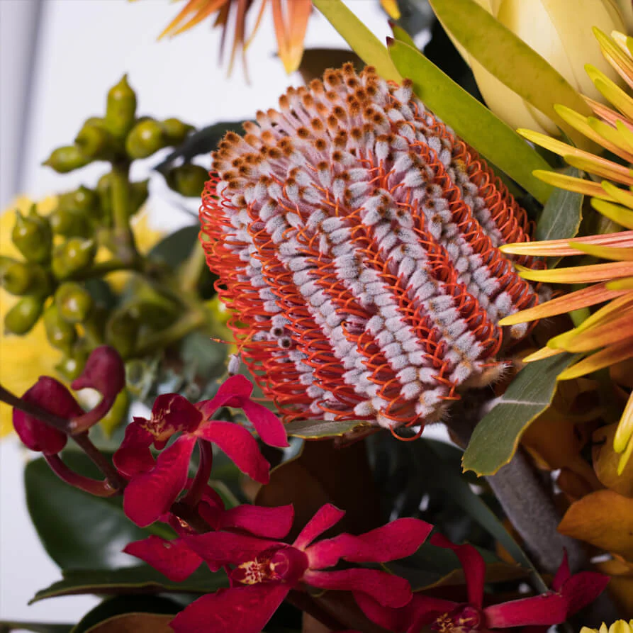 Bright-Deluxe-Hat-Box-th2_893x