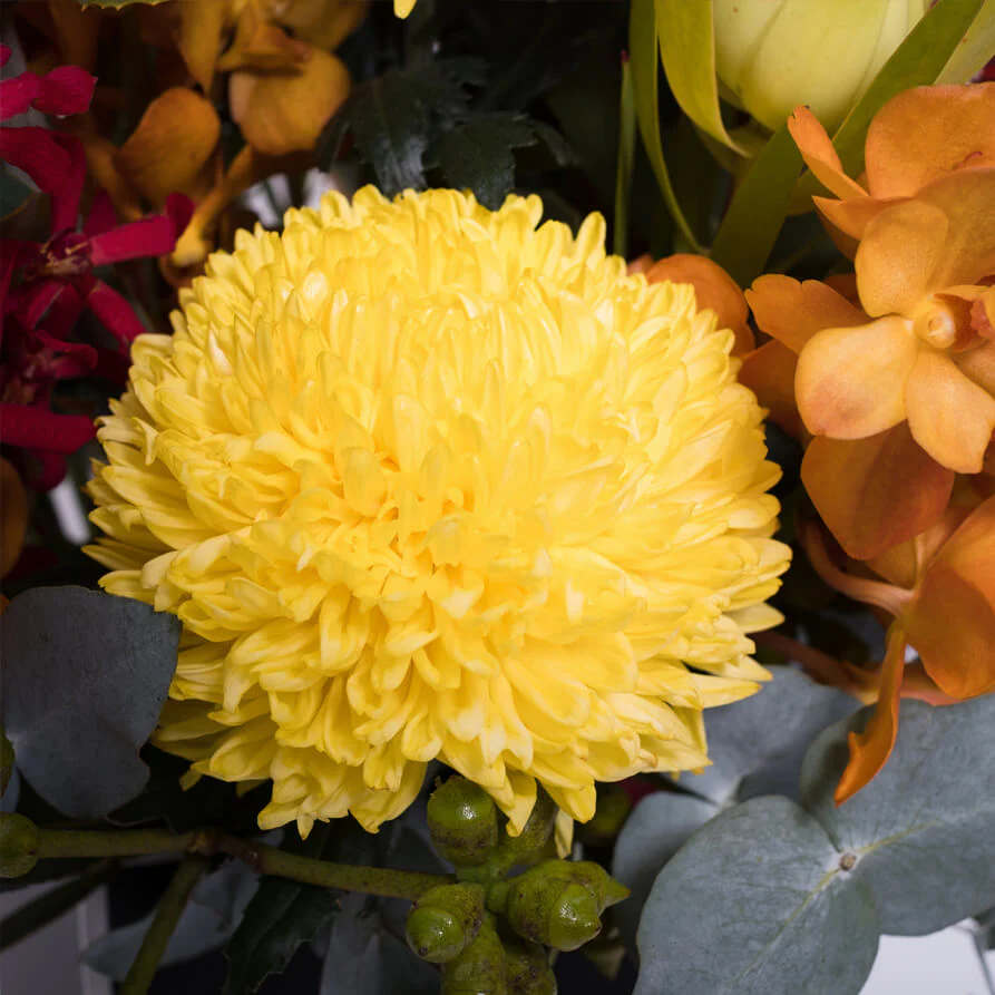 Bright-Deluxe-Hat-Box-th3_893x