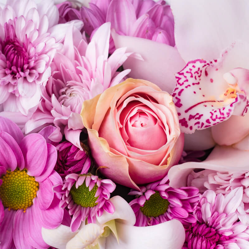 Heart-Wreath-TH6_800x