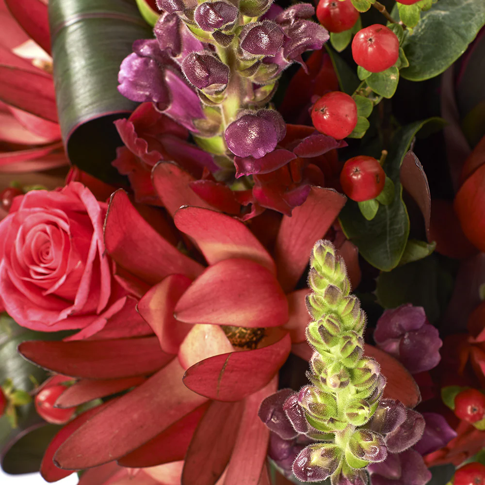 Medium-Fishbowl-detail1_1000x