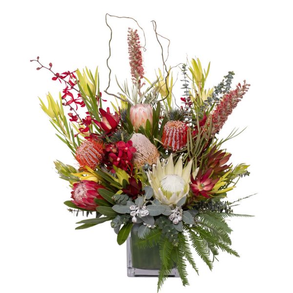 Native-Deluxe-Cube-Featured_893x