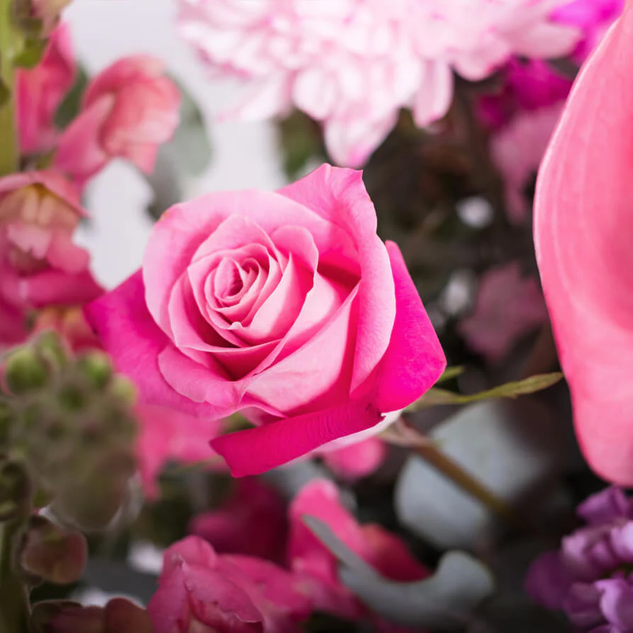 Pink-Deluxe-Hat-Box-th2_893x