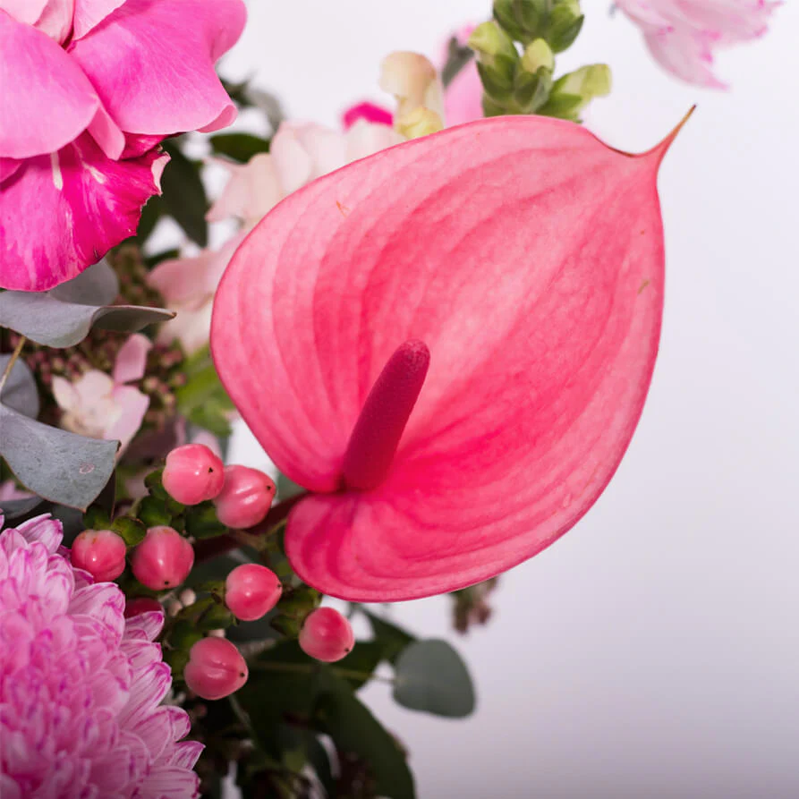 Pink-Deluxe-Hat-Box-th4_893x