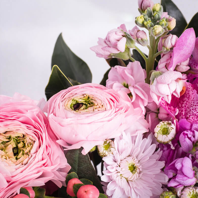 Raspberry-Rainbow-Window-Box-TH5_800x