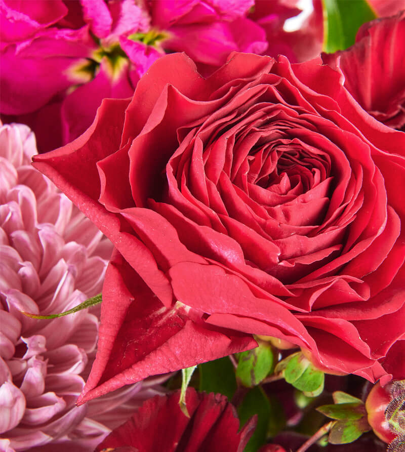 Red-and-Burgundy-Hat-Box-th2_800x