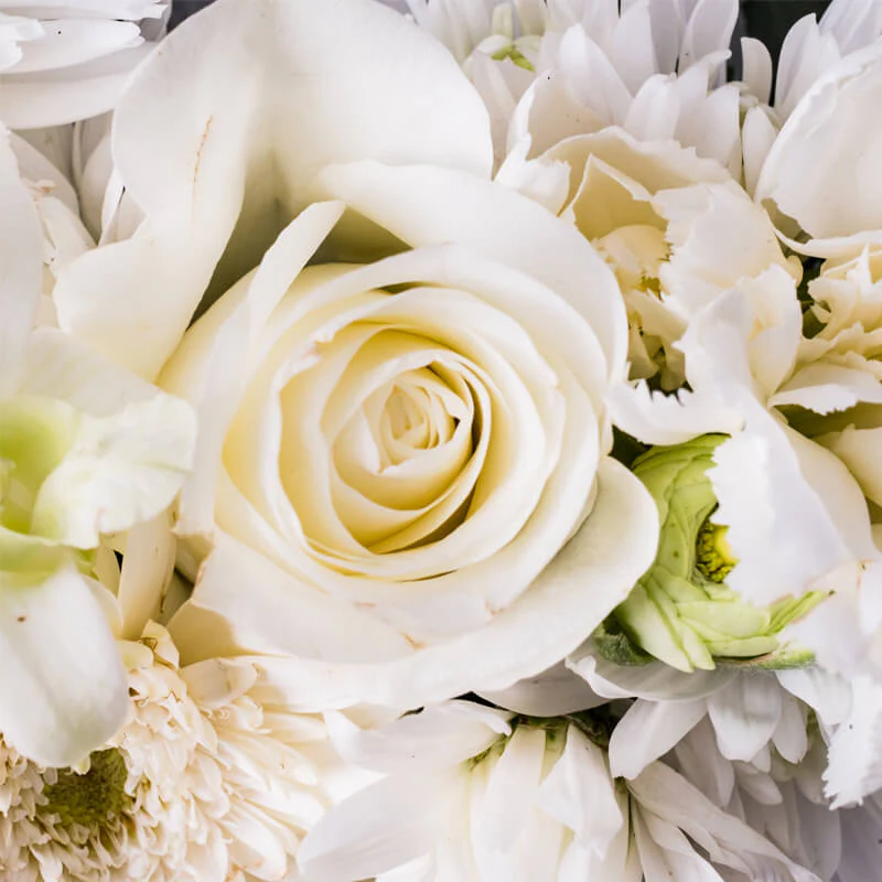 Sympathy-Cross-TH2_800x