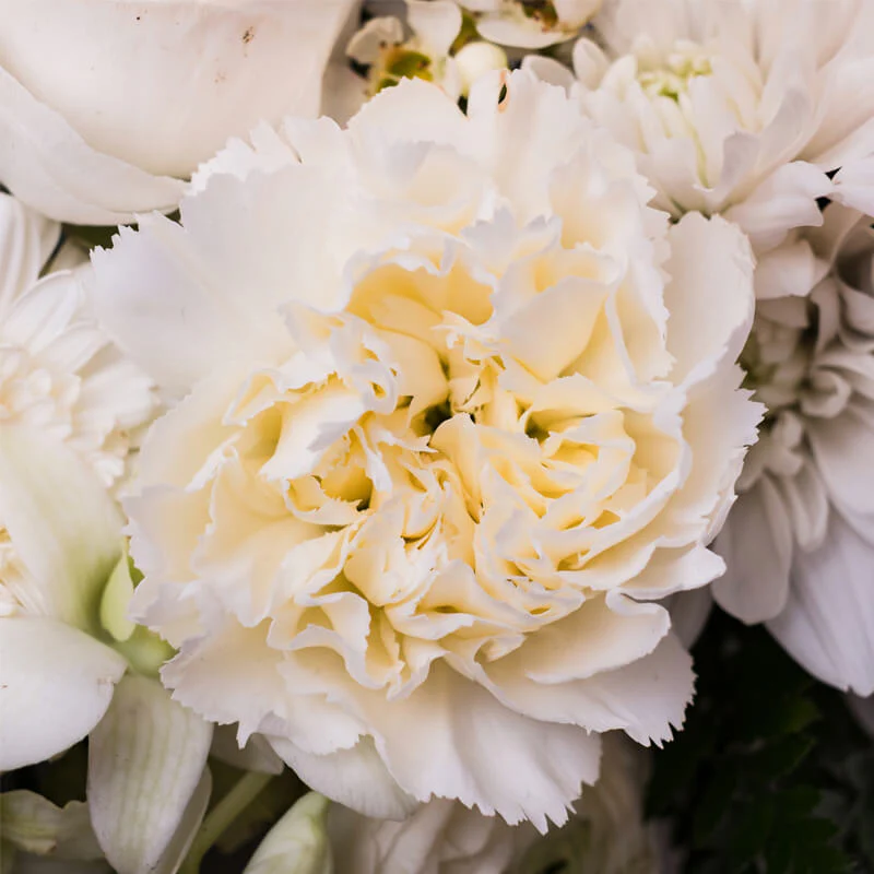 Sympathy-Cross-TH3_800x