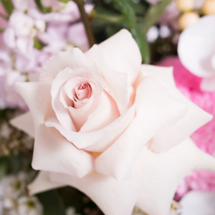 Tear-Drop-Deluxe-Vase-th2_893x