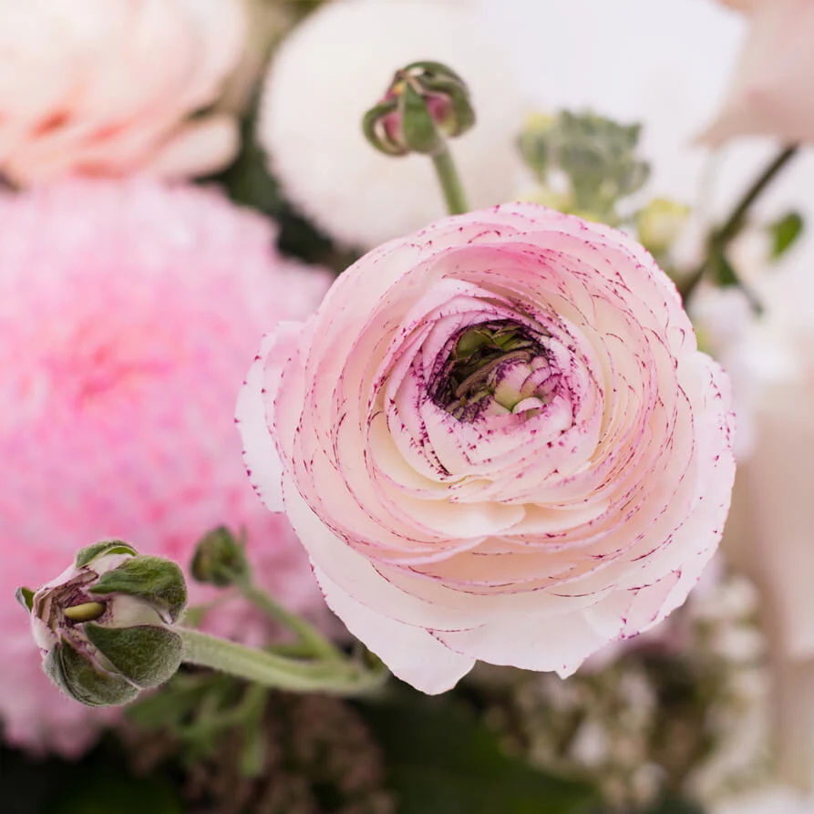 Tear-Drop-Deluxe-Vase-th4_893x