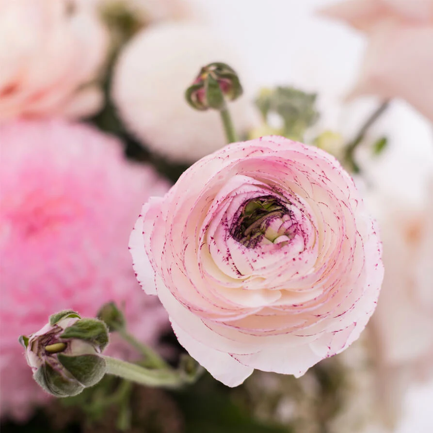 Tear-Drop-Deluxe-Vase-th5_893x