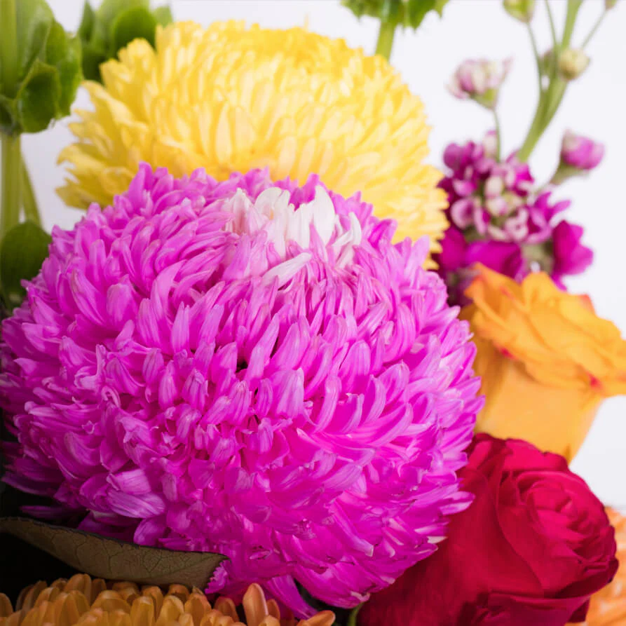 Tutti-Fruitti-Deluxe-Cube-th1_893x