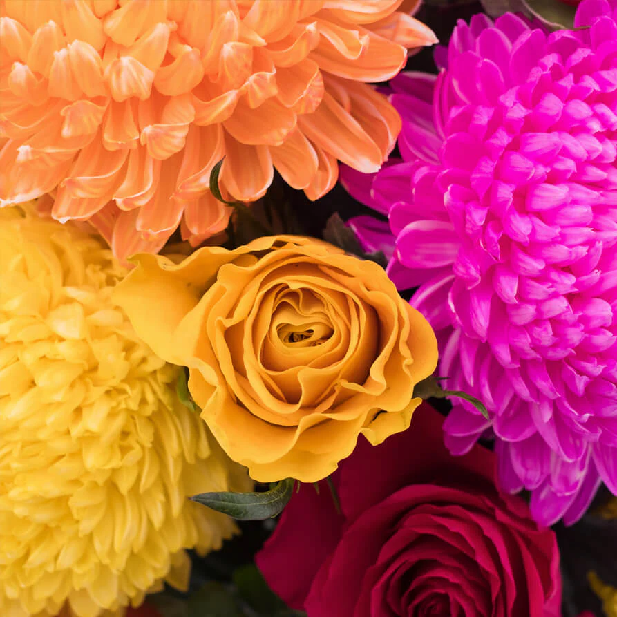 Tutti-Fruitti-Deluxe-Cube-th3_893x