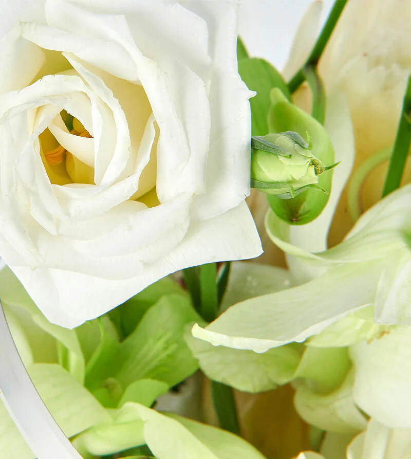 White-Bloom_d-Garden-Bowl-th2_800x