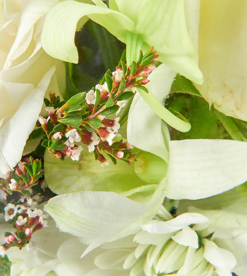 White-Bloom_d-Garden-Bowl-th3_800x