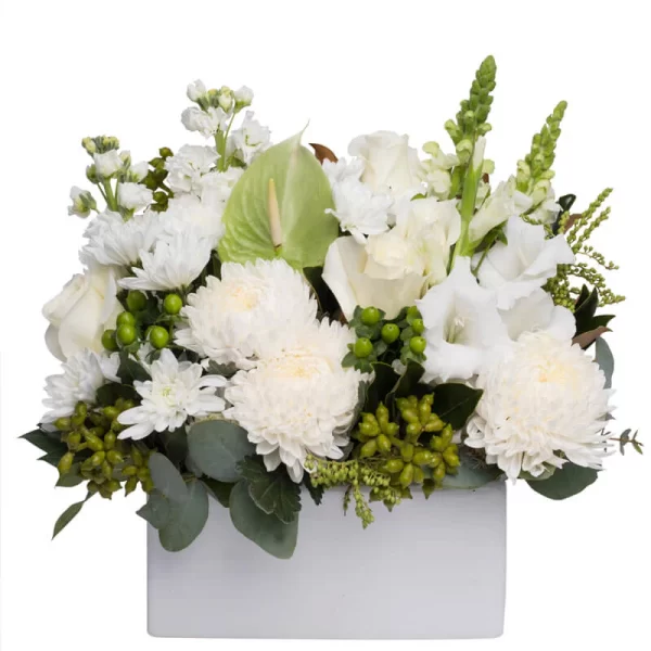 White-Window-Box-Featured_800x