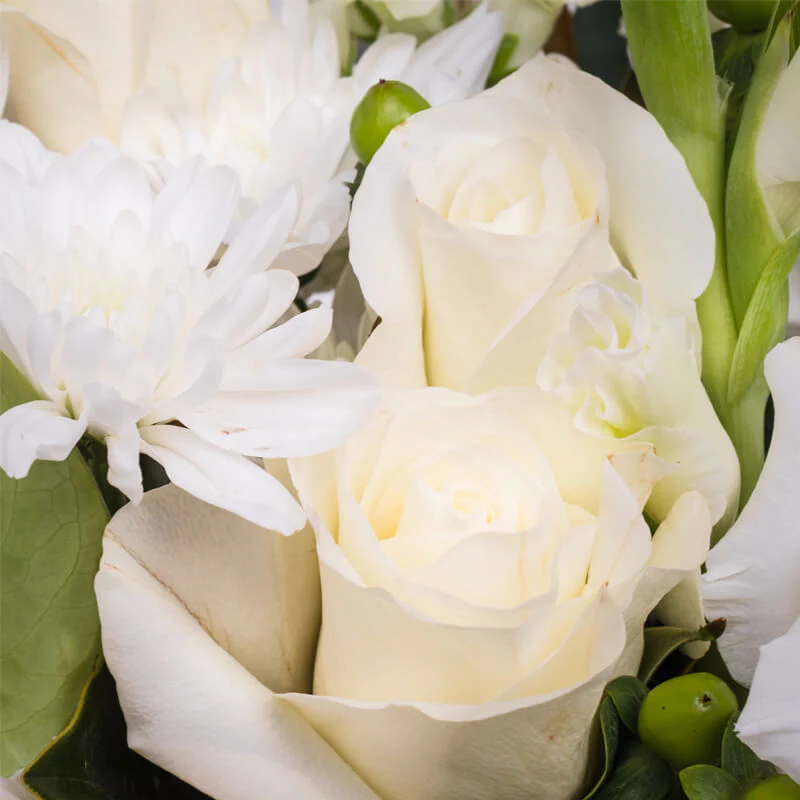 White-Window-Box-TH3_800x