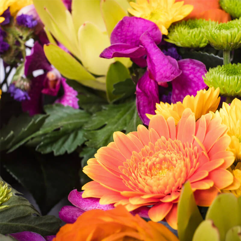 Bright-Wreath-TH2_800x