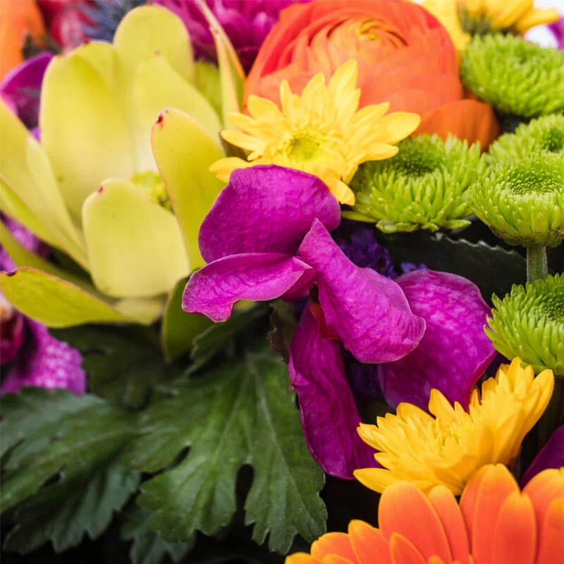 Bright-Wreath-TH4_800x