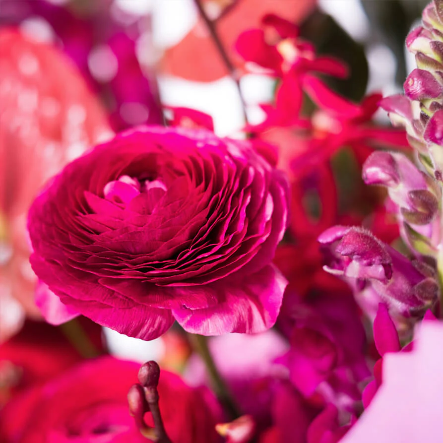 Burgundy-Deluxe-Hat-Box-th2_893x