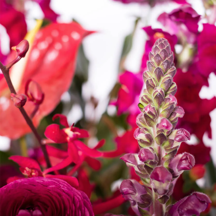 Burgundy-Deluxe-Hat-Box-th4_893x