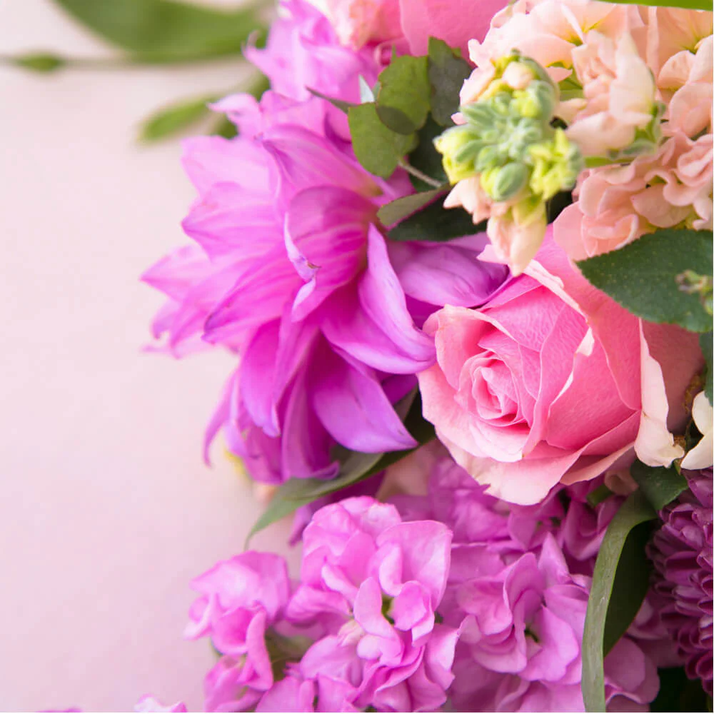 Grandmas-Favourite-th2_1000x