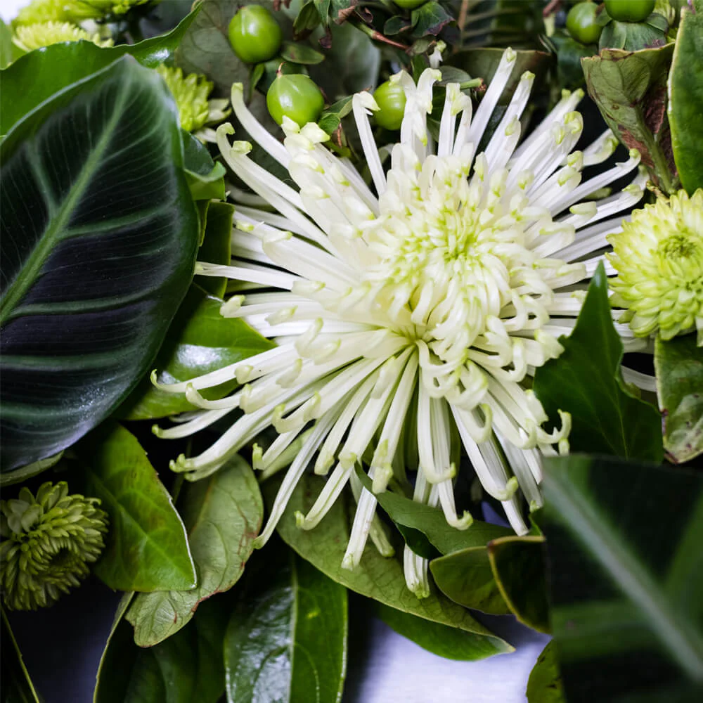 Green-Wreath-th3_1000x