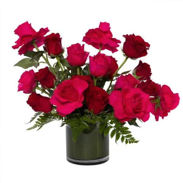 Hot-Pink-Red-Roses-Vase-Featured_893x