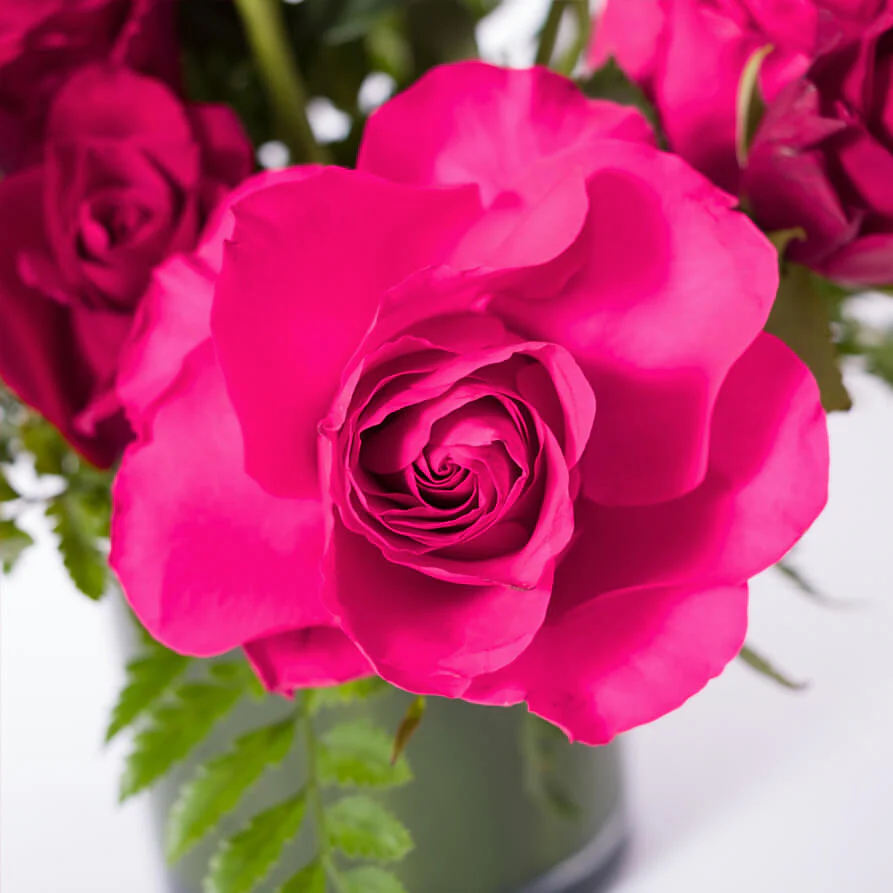 Hot-Pink-Red-Roses-Vase-th2_893x