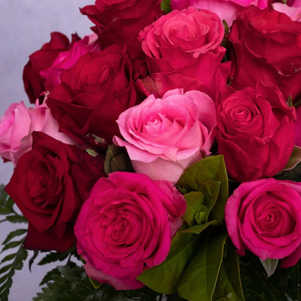 Hot-Pink-and-Red-Roses-Vase-th2_1000x