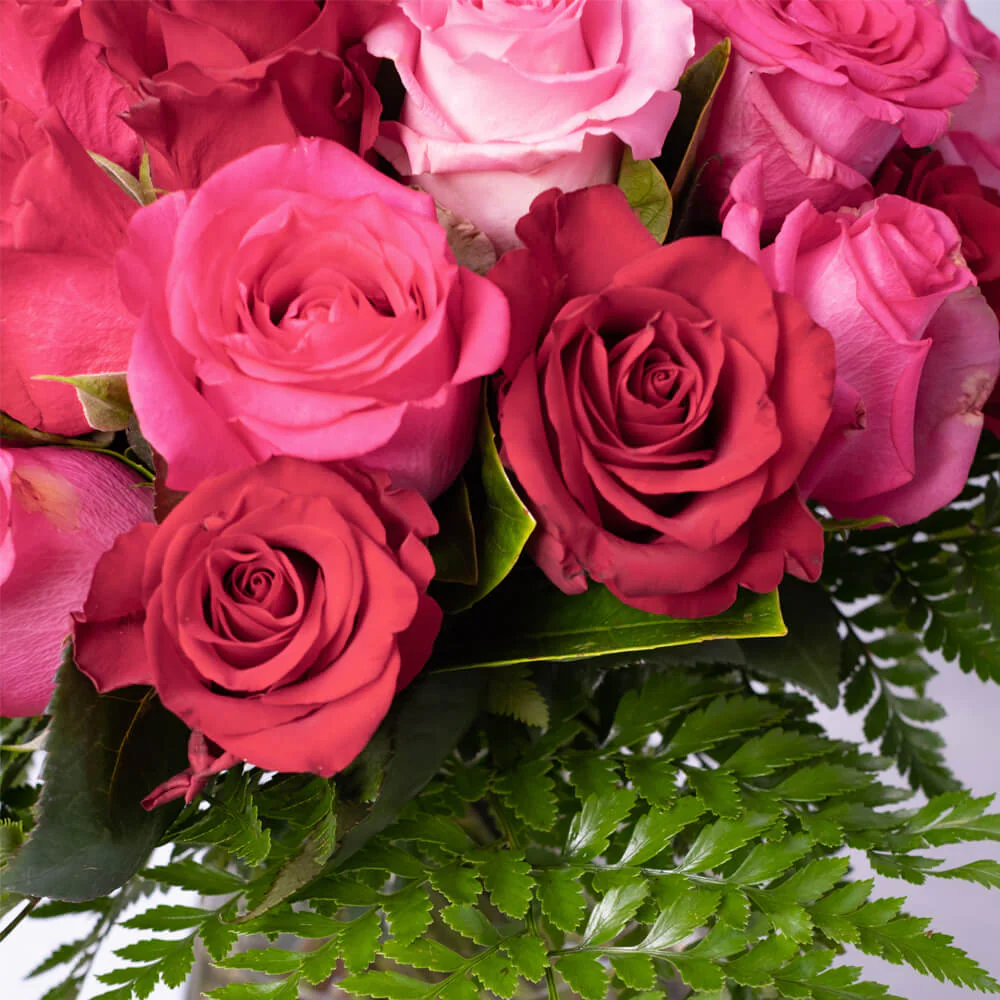 Hot-Pink-and-Red-Roses-Vase-th3_1000x