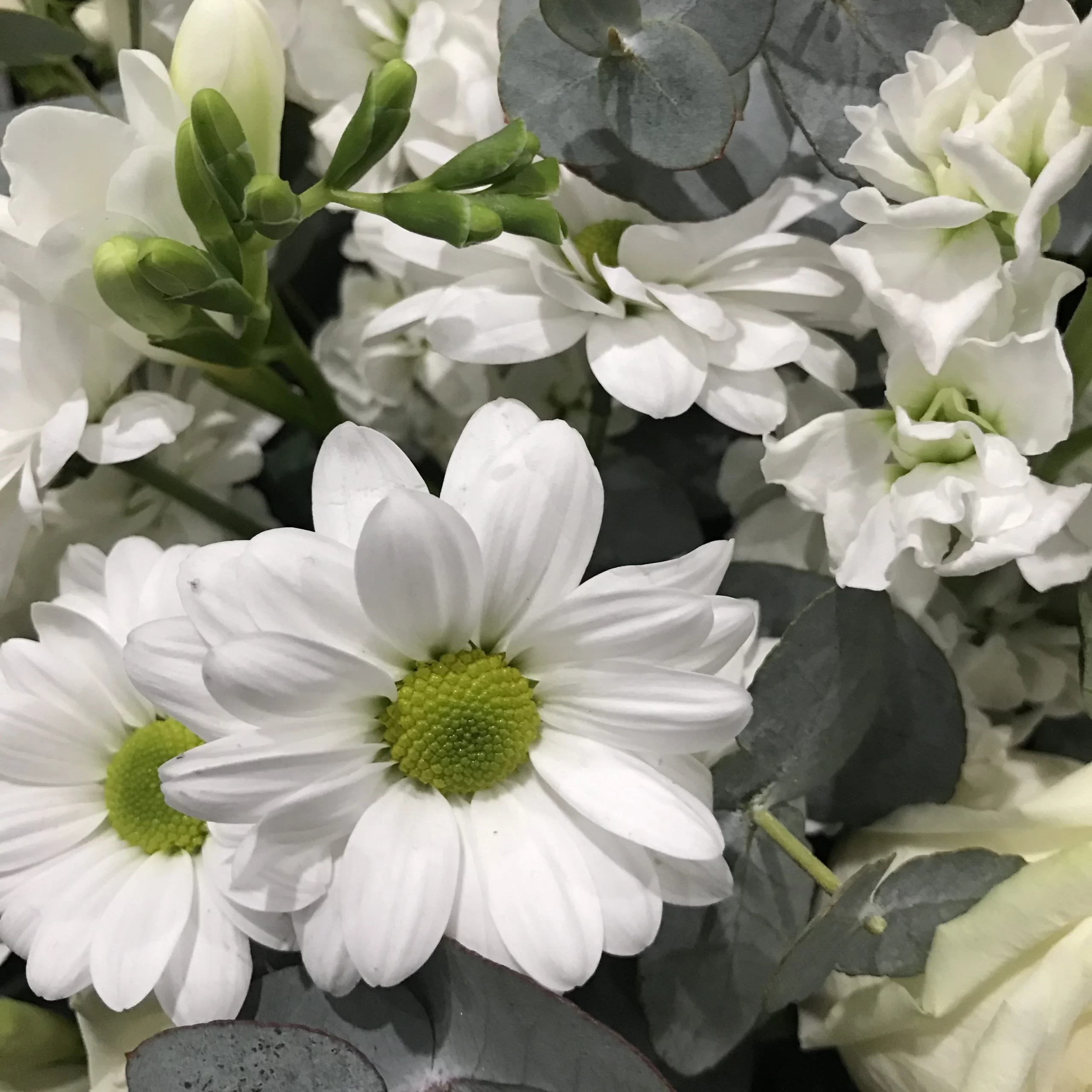 IMG_2772-e1494825702339_3024x