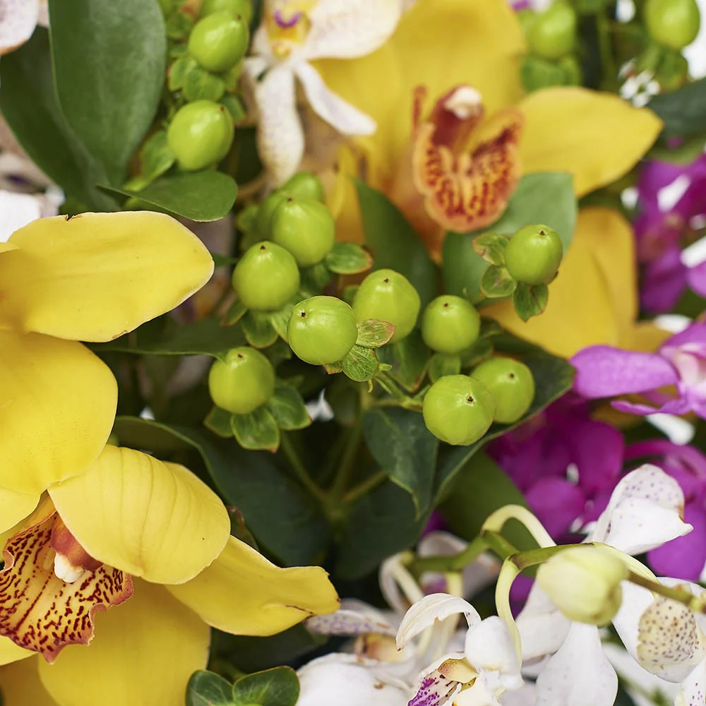 Large-Cube-detail-2_1000x