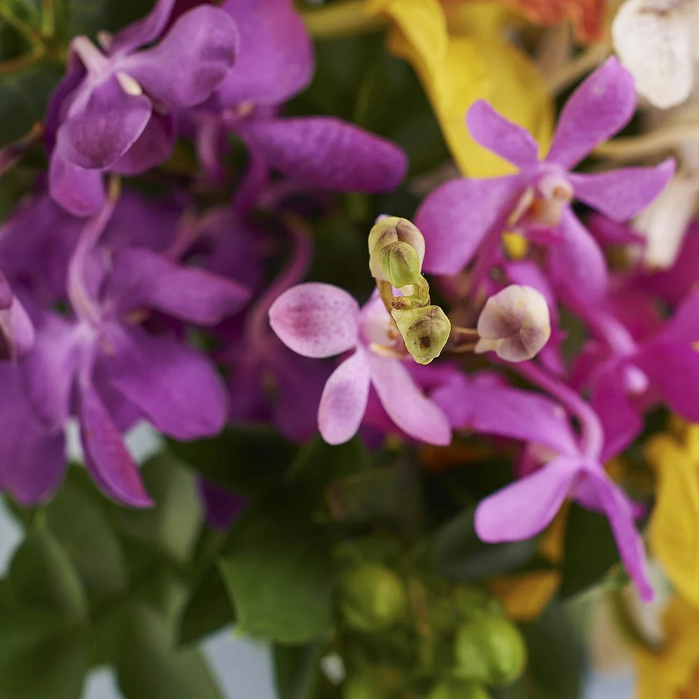 Large-Cube-detail-3_1000x