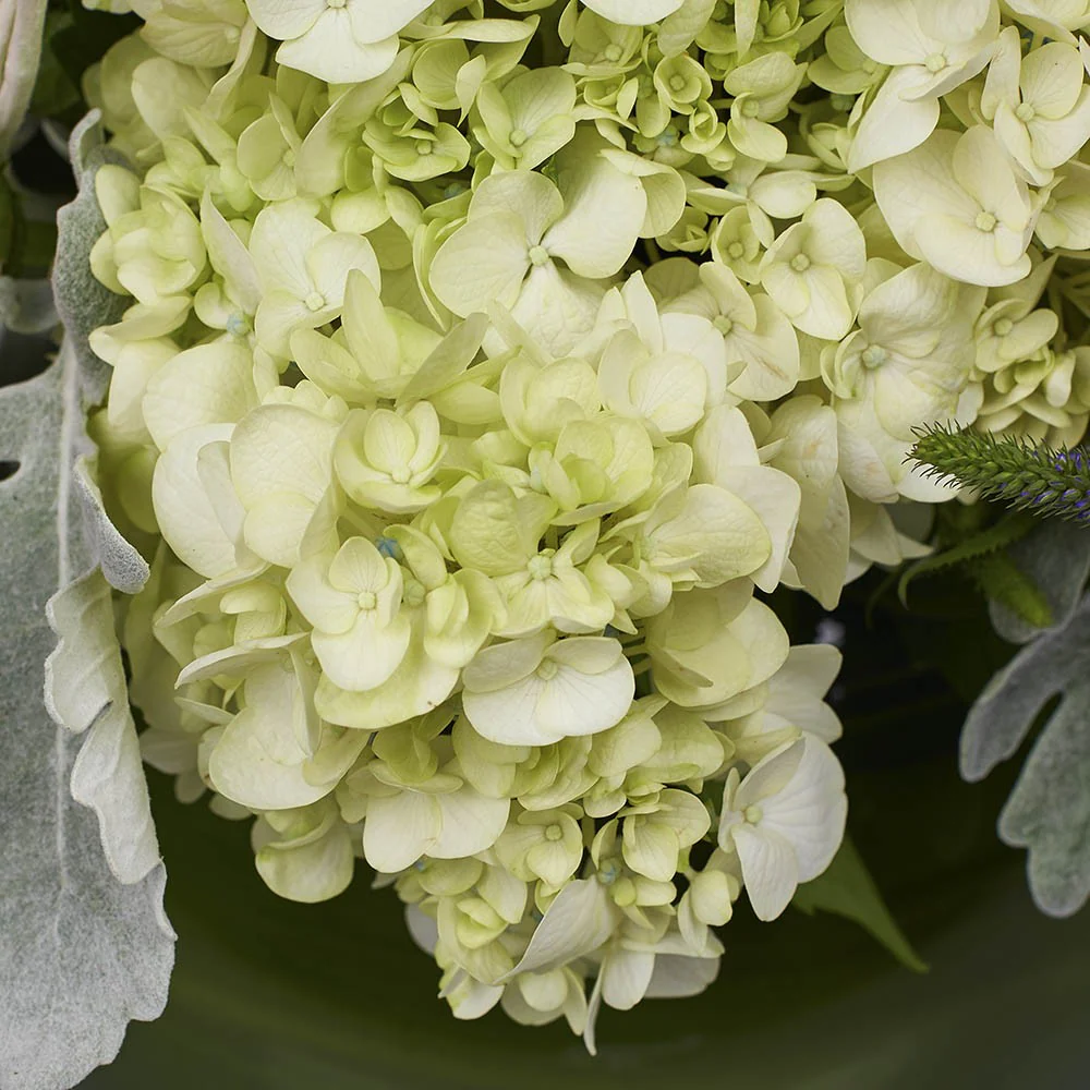 Large-Fish-Bowl-detail-2_1000x