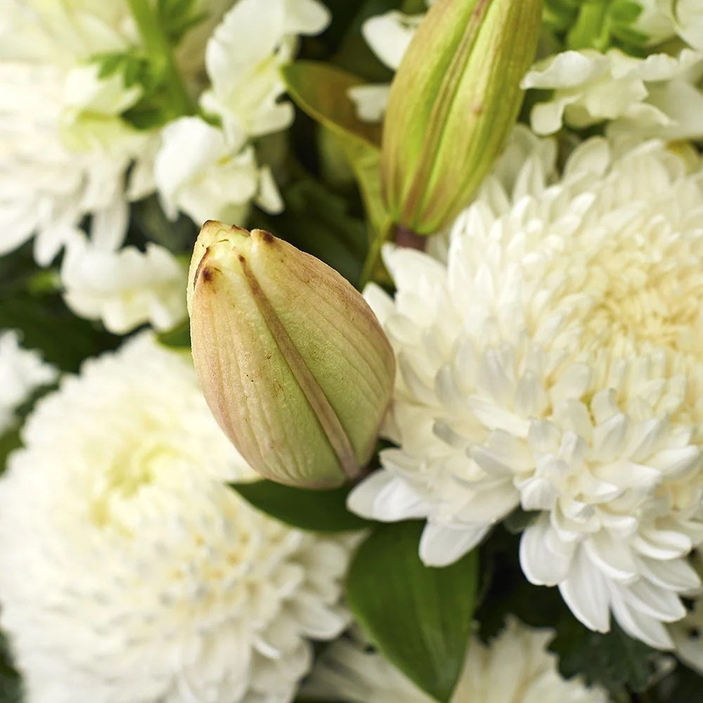 Large-SheafDetail3_1000x