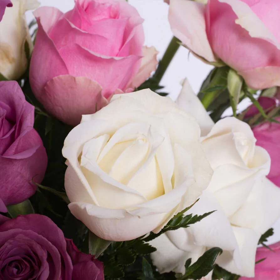 Mauve-Pink-White-Roses-Vase-th1_893x