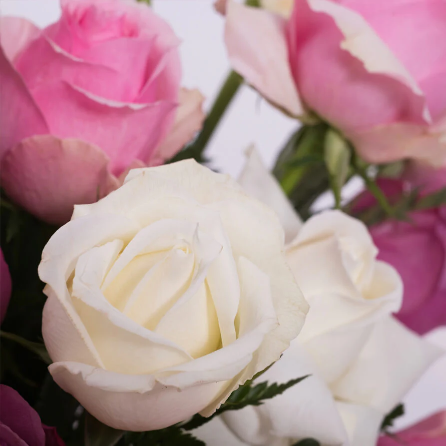Mauve-Pink-White-Roses-Vase-th2_893x