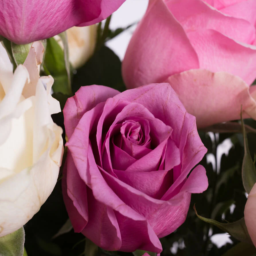 Mauve-Pink-White-Roses-Vase-th3_893x