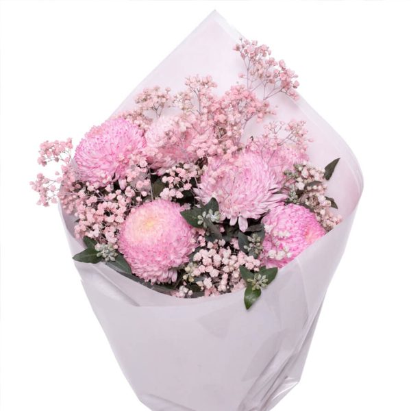 Miss-Lillypilly-Featured_893x