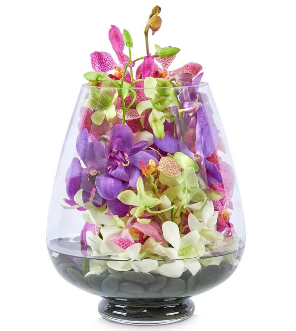 Mixed-Orchid-Tear-Drop-Vase-Featured_800x