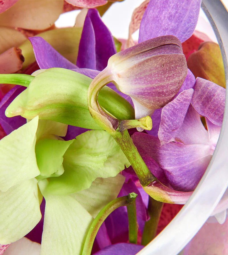 Mixed-Orchid-Tear-Drop-Vase-th2_800x