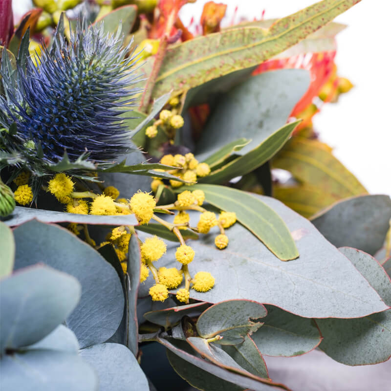 Native-Wreath-TH2_800x