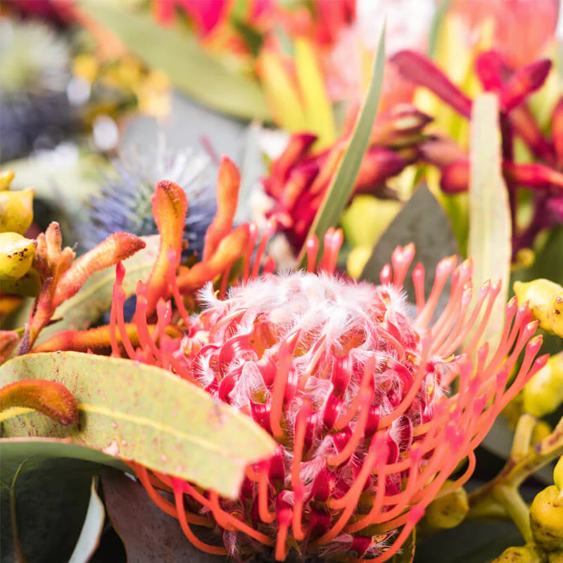 Native-Wreath-TH4_800x