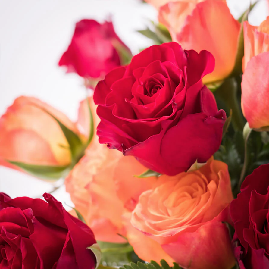 Orange-Red-Roses-Vase-th2_893x