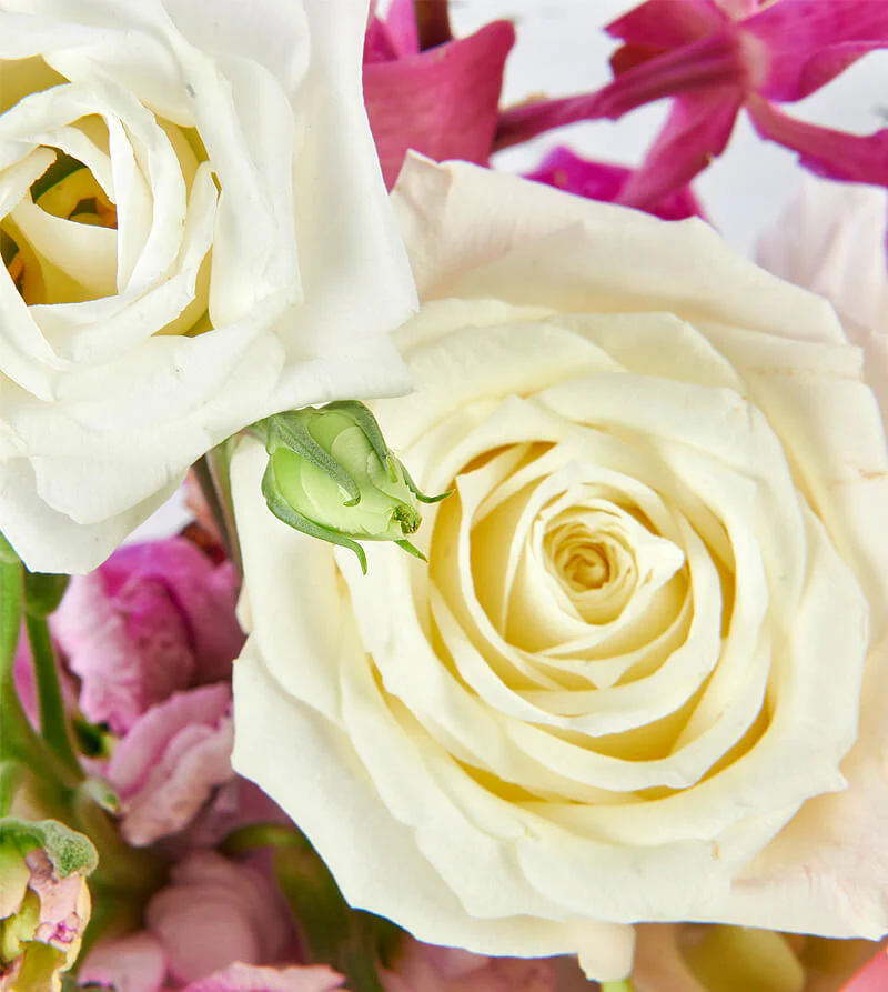 Pastel-Bloom_d-Garden-Bowl-th2_8c896e2f-c7e4-4b0c-ad53-ced92781b45f_800x