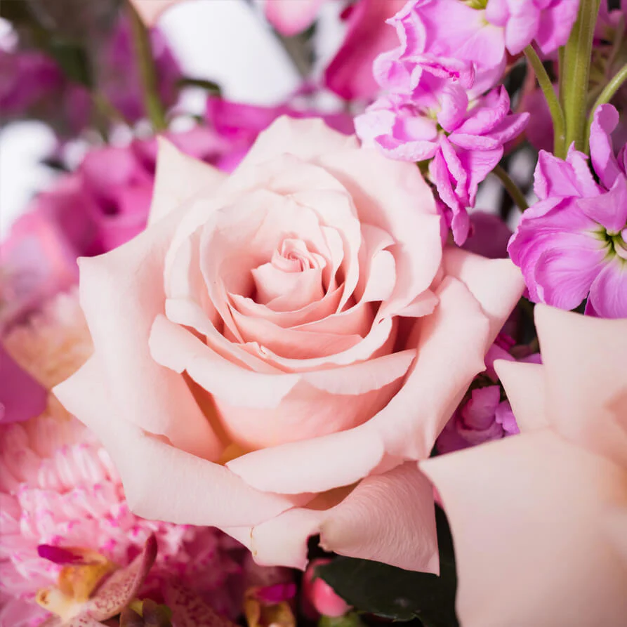 Peach-Mauve-Deluxe-Hat-Box-th2_893x