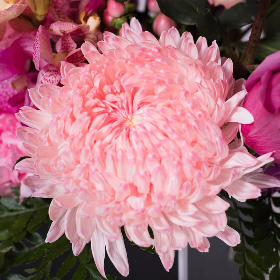 Peach-Mauve-Deluxe-Hat-Box-th3_893x