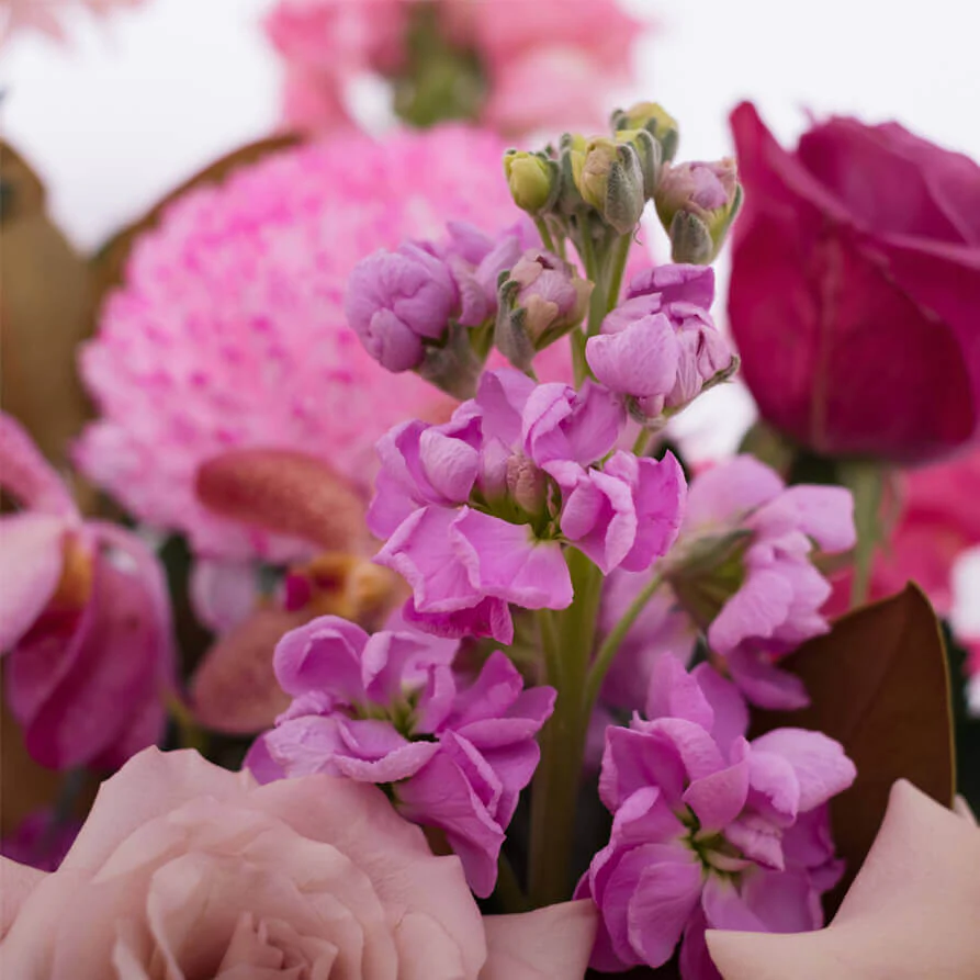 Peach-Mauve-Deluxe-Hat-Box-th4_893x