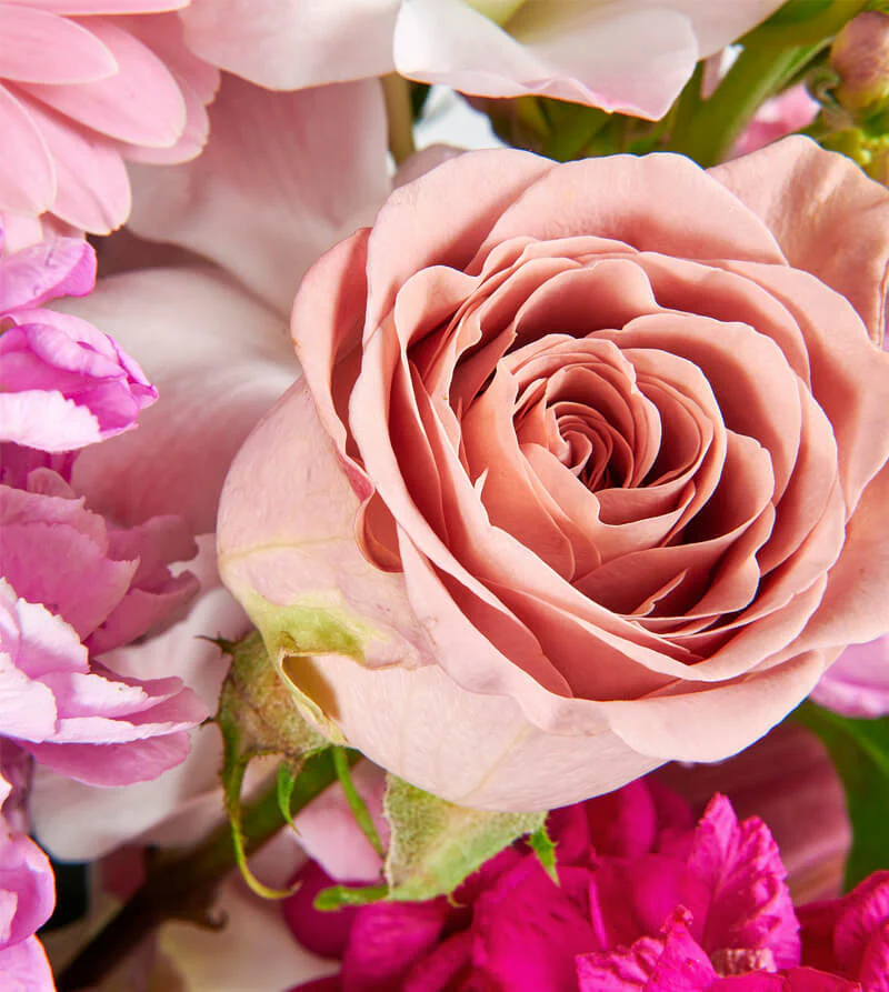 Pink-Bloom_E2_80_99d-Hat-Box-th1_800x