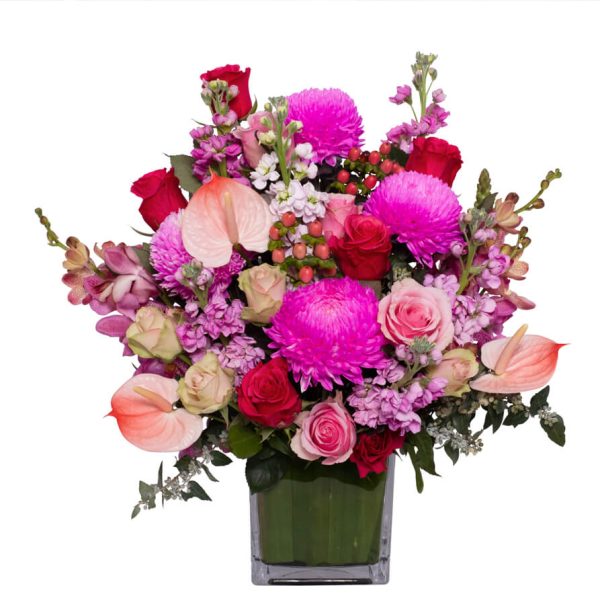 Pink-Deluxe-Cube-Featured_893x